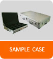 present sample case